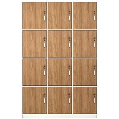 Solid wood PANEL Werknemer kast met slot opslagruimte voor fitness badkamer slaapkamer