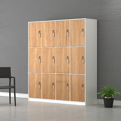 Solid wood PANEL Werknemer kast met slot opslagruimte voor fitness badkamer slaapkamer